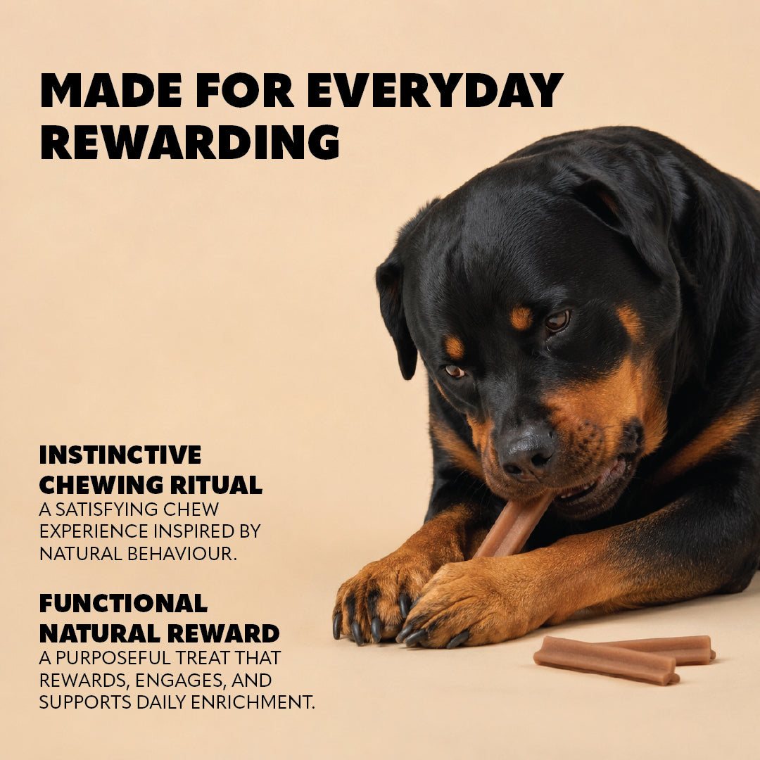 Pet Refined® Beef Dental Chews (M) – 200g