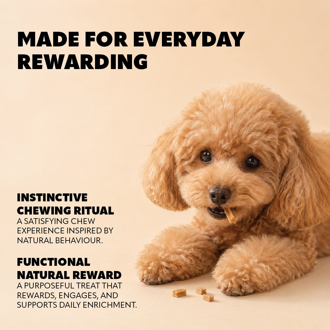 Pet Refined® Beef Dental Chews (S) – 150g