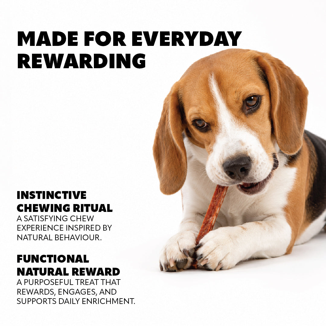 Pet Refined® Beef Gourmet Meat Treats – 100g