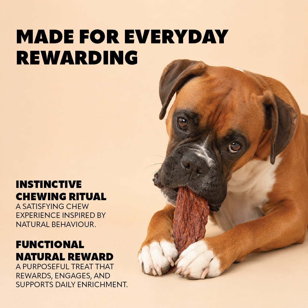 Pet Refined® Beef Jerky Treats – 100g