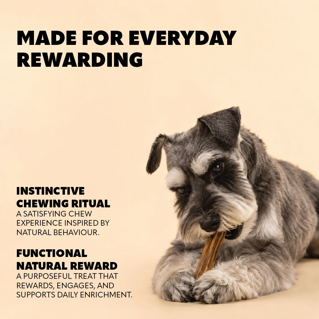Pet Refined® Beef Intestine Natural Dog Chews – 50g