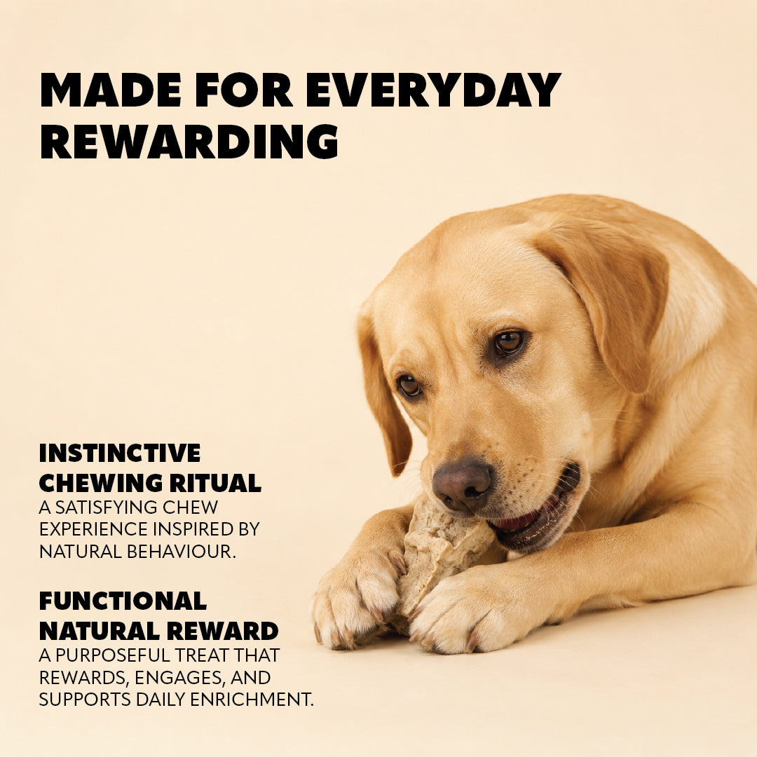 Pet Refined® Beef Lung Gourmet Meat Treats – 80g