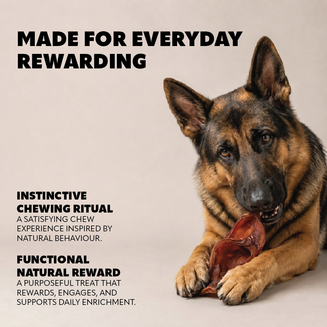 Pet Refined® Beef Ear Natural Dog Chews – 270g
