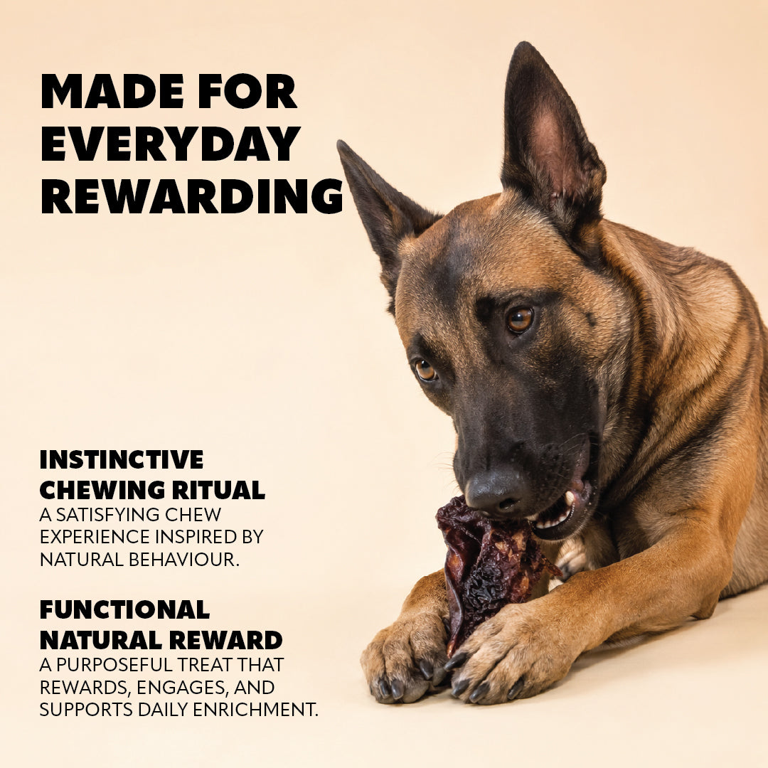 Pet Refined® Beef Nose & Lip Natural Dog Chews – 140g