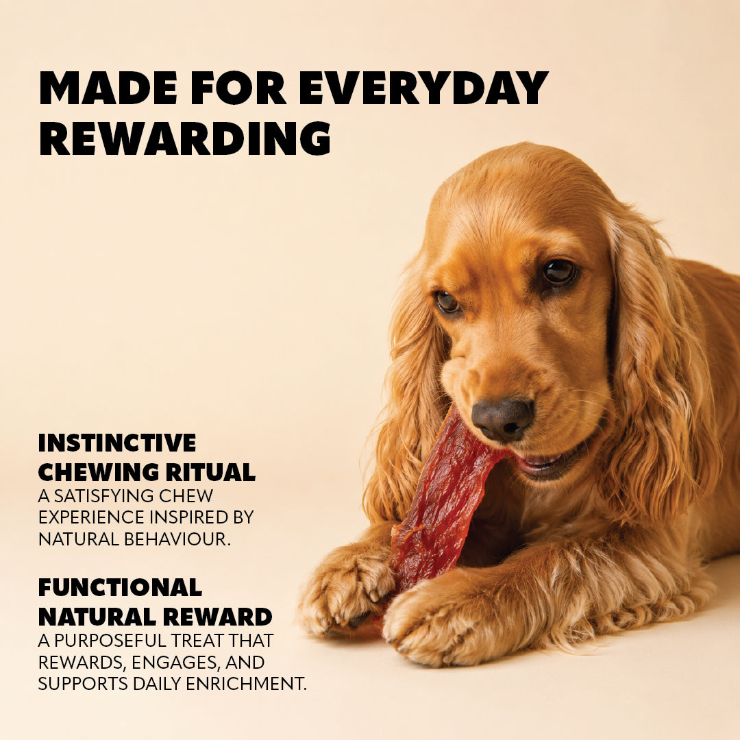 Pet Refined® Duck Strip Soft Meat Strips – 100g
