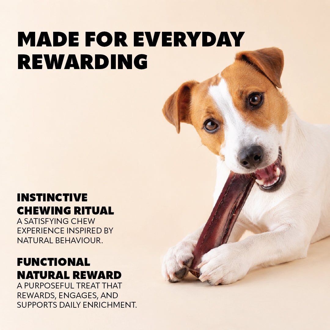 Pet Refined® Beef Skin & Tripe Natural Dog Chews – 12g