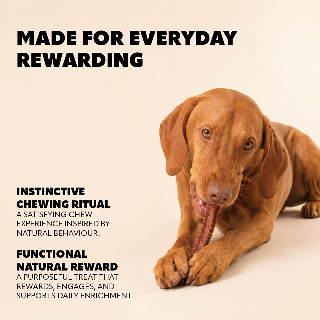 Pet Refined® Beef & Veal Gourmet Meat Treats – 140g