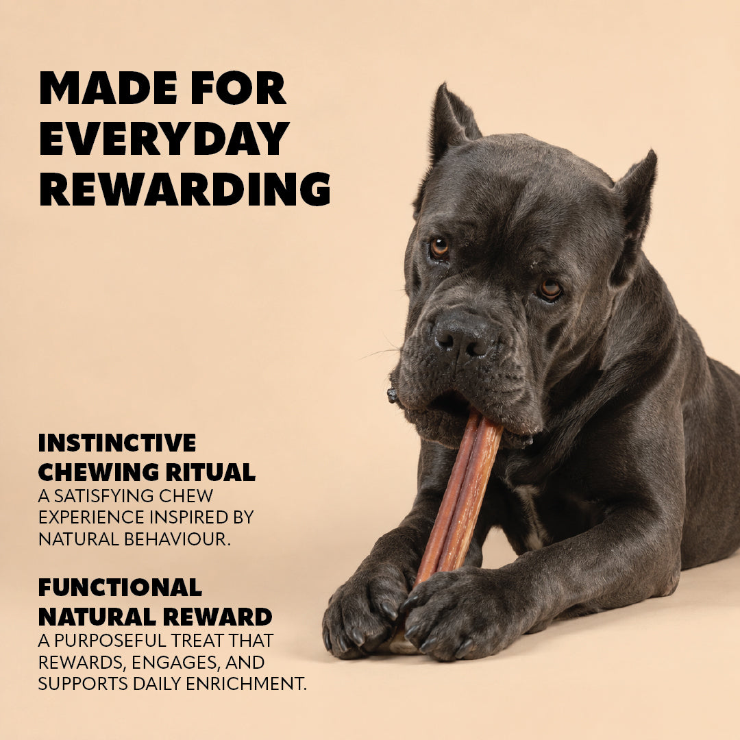 Pet Refined® Bull Pizzle Natural Dog Chews – 140g