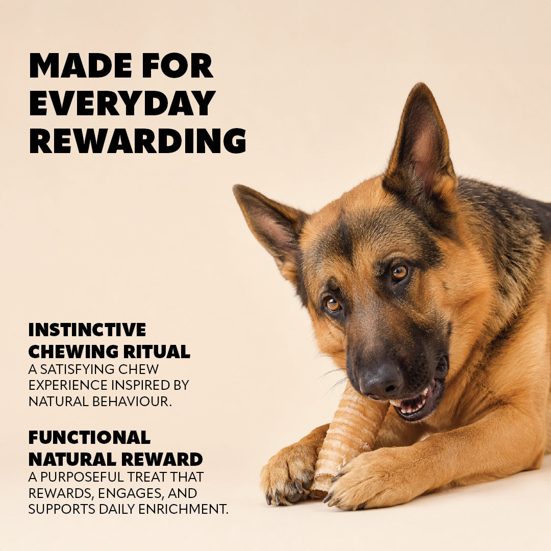 Pet Refined® Beef Trachea Natural Dog Chews – 150g