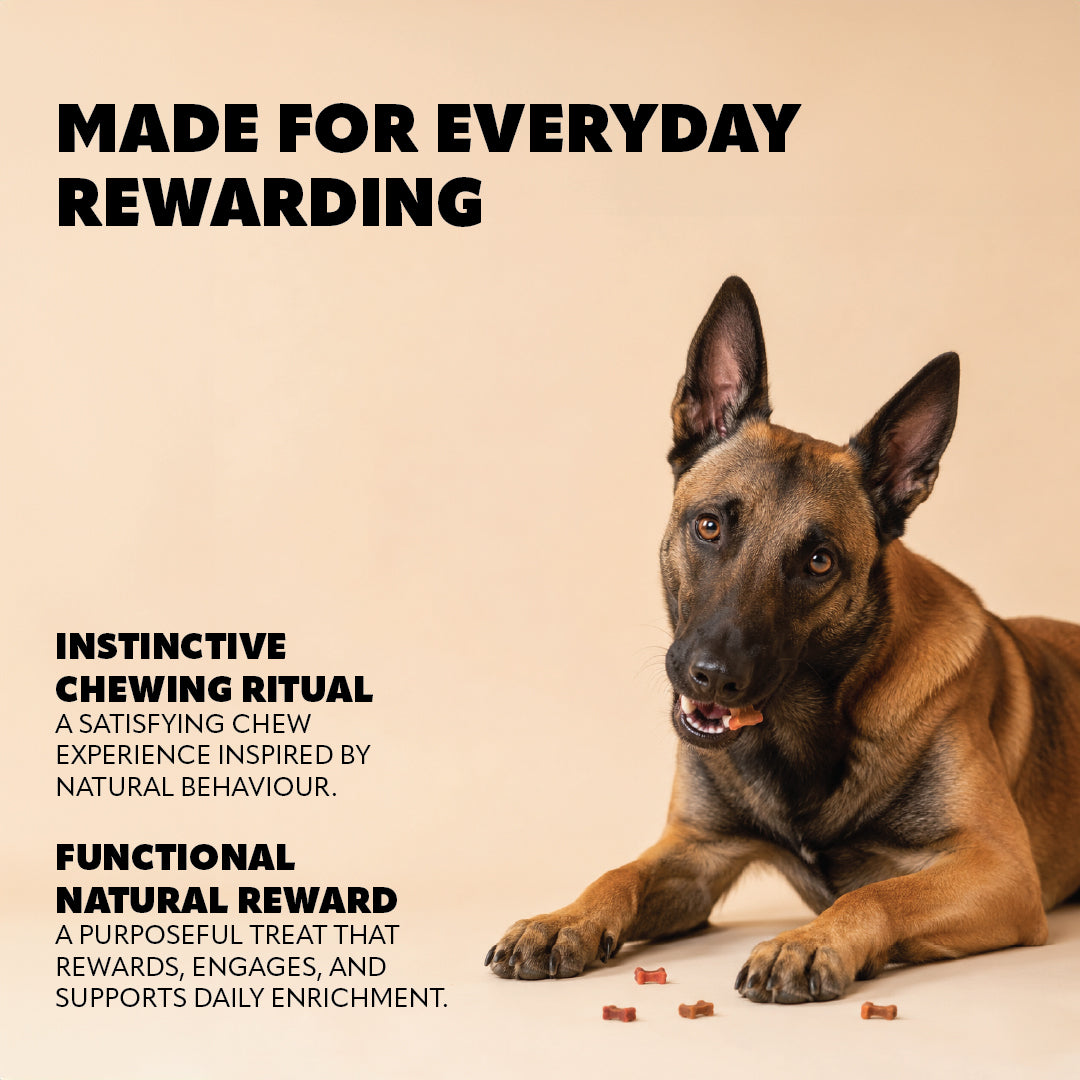 Pet Refined® Turkey & Lamb Gourmet Meat Treats – 200g