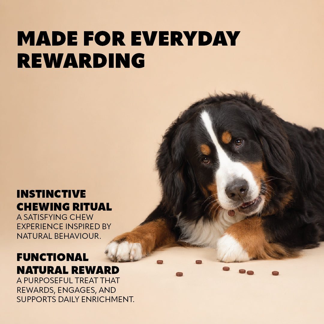 Pet Refined® Beef Gourmet Meat Treats – 160g