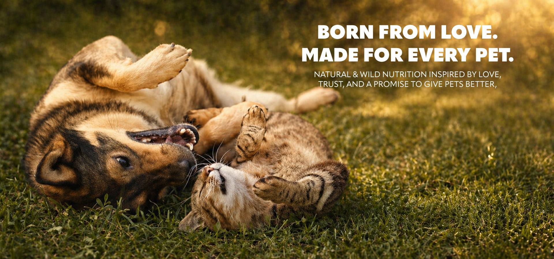 Happy dog and cat playing on grass representing natural pet care by Pet Refined