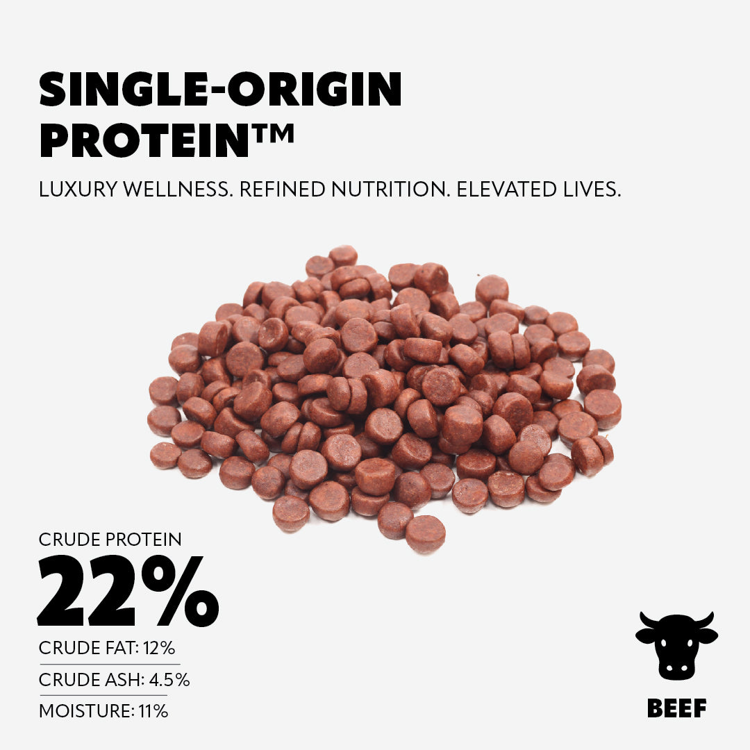 Pet Refined® Beef Gourmet Meat Treats – 160g